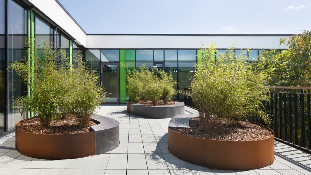 Ersatzneubau Marie Curie Schule Außenaufnahme Terrasse im Atrium